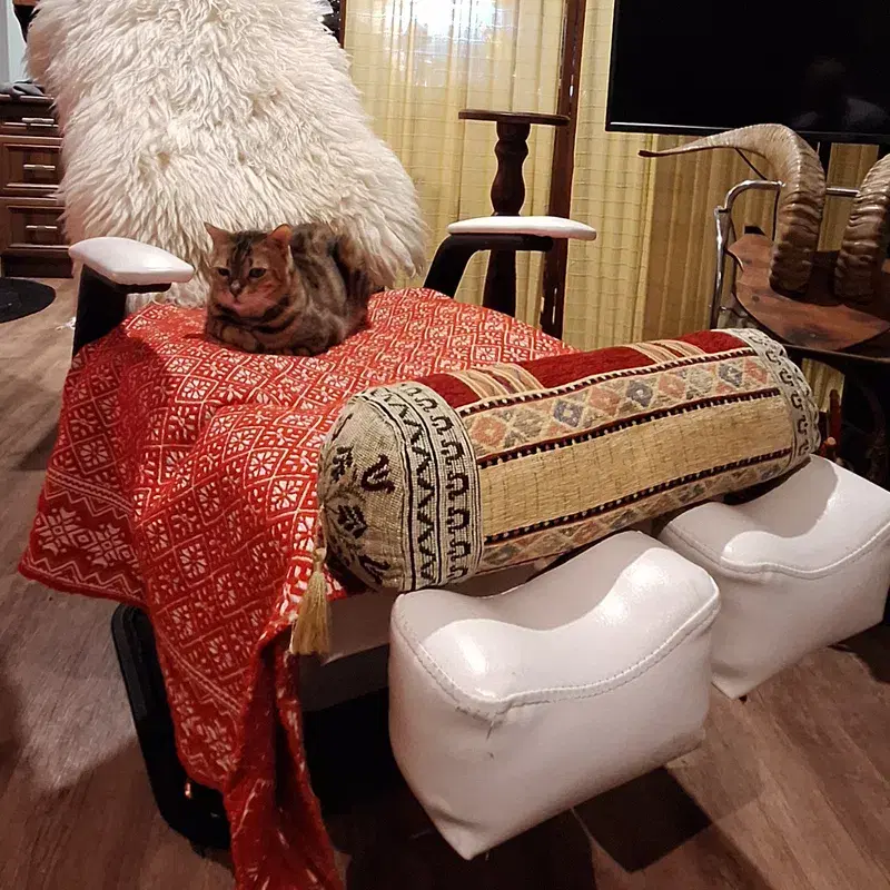 TREATMENT CHAIR / LOUNGER