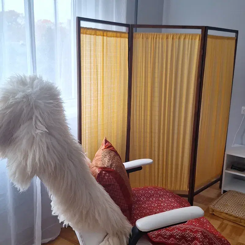 ROOM DIVIDER / PRIVACY SCREEN 1920s