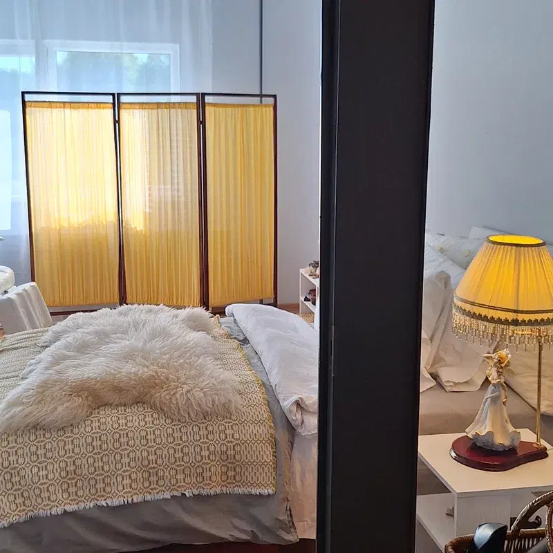 ROOM DIVIDER / PRIVACY SCREEN 1920s