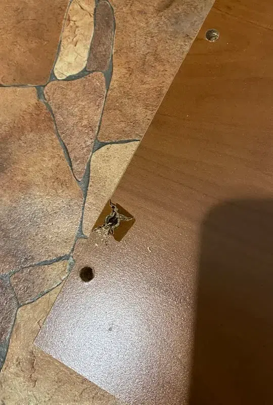 Kõrge kapp / Tall cabinet