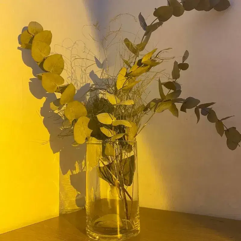 Kõrge läbipaistev vaas / Tall transparent vase