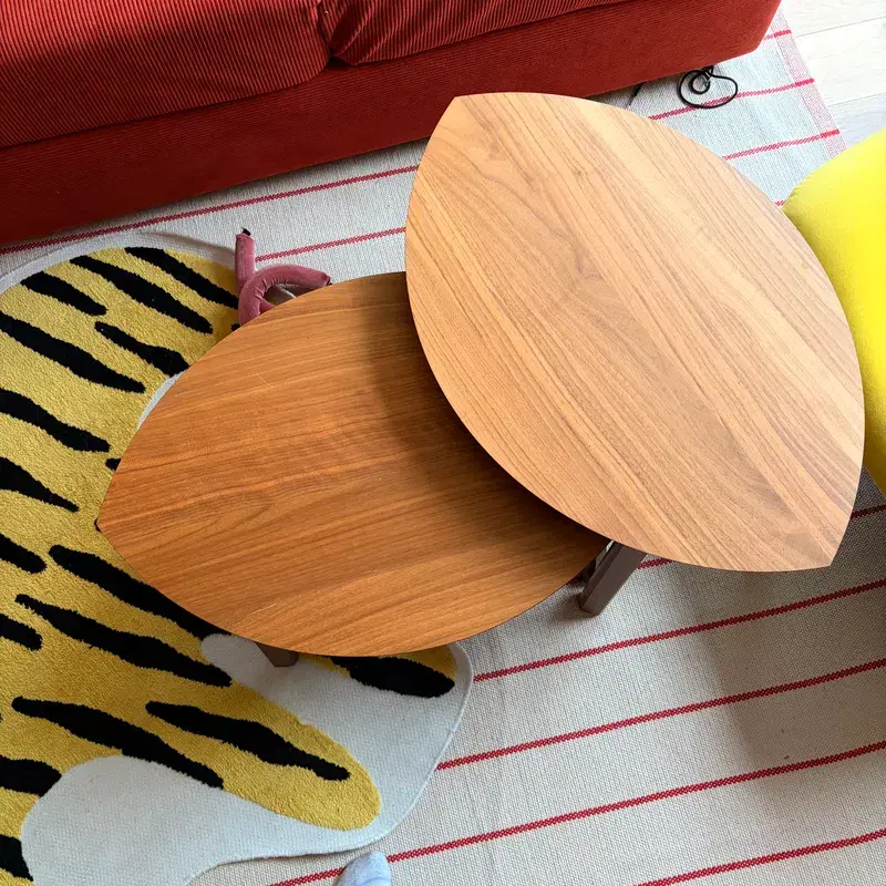 Nesting Coffee Tables (set of 2)